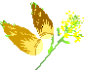 AXpKX