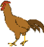 {