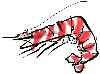 CV