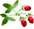 AXpKX